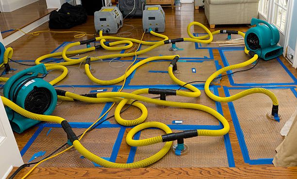 Professional Water Damage Repair technician working in Glendale, RI